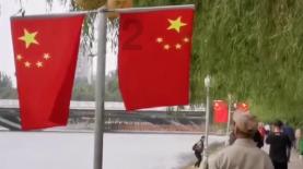 救援海盗章鱼